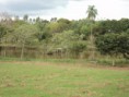 /album/galeria-de-fotos-pagina-inicial/reuni%c3%a3o-da-regional-na-sede-campestre-em-venancio-aires-%288%29-jpg/